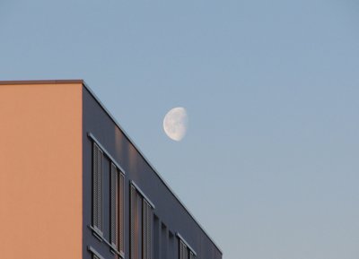 Encore debout _4408098249_l.jpg